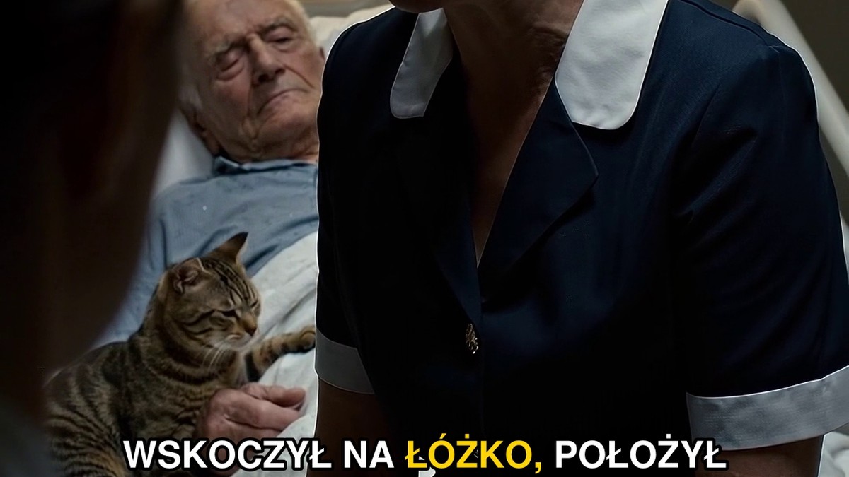 Stary kot nie chciał odejść od łóżka